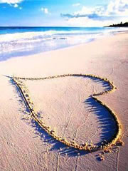 まゆみプロフィール